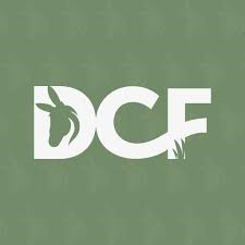 dcff